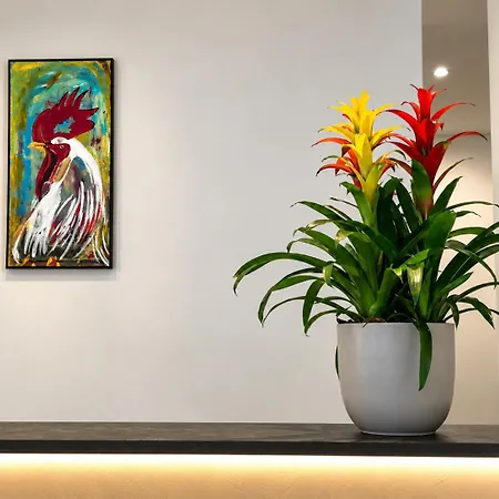 Hotel Palazzo Caveja 3*